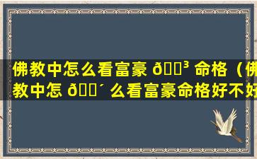 佛教中怎么看富豪 🐳 命格（佛教中怎 🌴 么看富豪命格好不好）